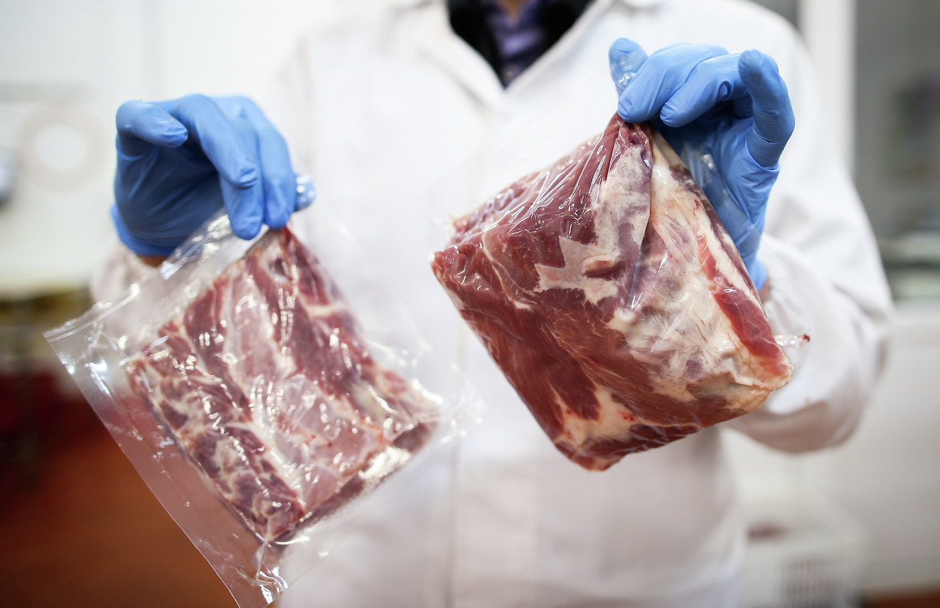 Правила всэ мяса. Ветеринарно-санитарная экспертиза мяса. Ветсанэкспертиза мяса. Экспертиза мяса и мясных продуктов.