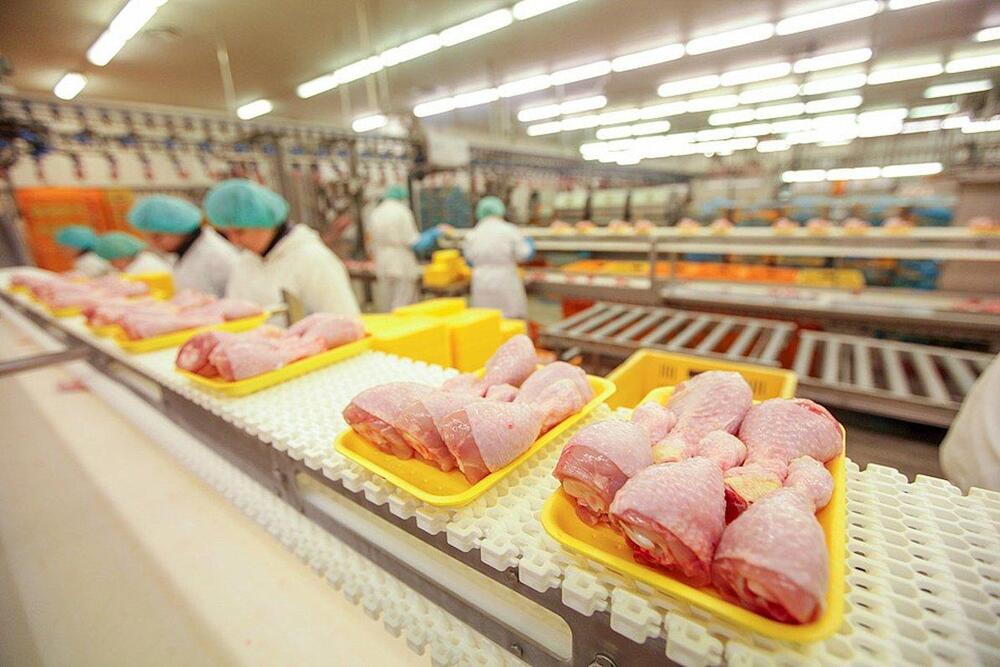 Крупнейшие птицефабрики незначительно сократили производство мяса бройлера