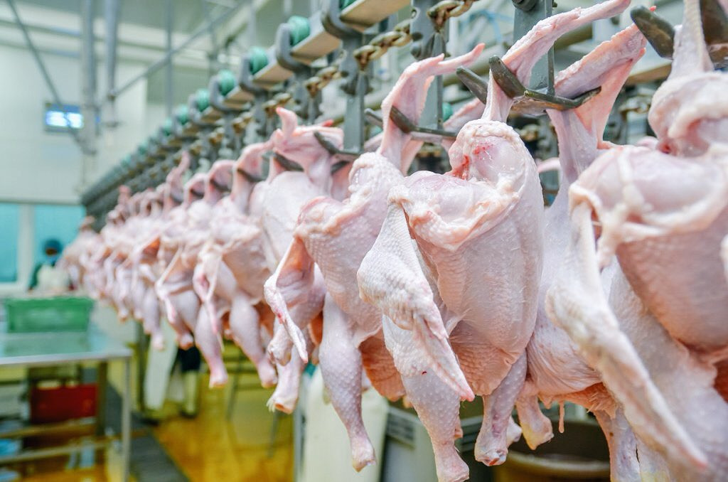 Мониторинг цен на куриное мясо в России и за рубежом, данные на 05 февраля 2024 года