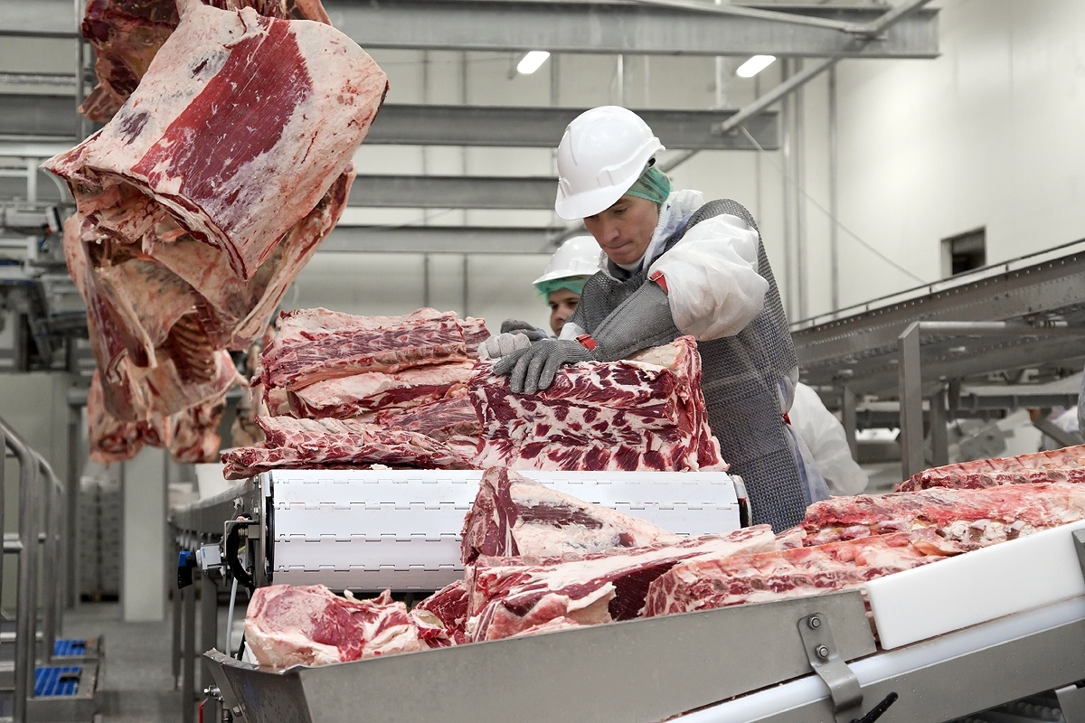 Смоленская область нарастила производство мяса