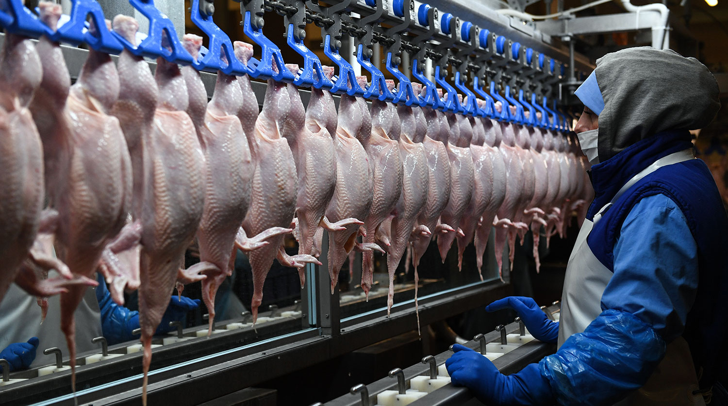Мониторинг цен на куриное мясо в России и за рубежом, данные на 12 февраля 2024 года