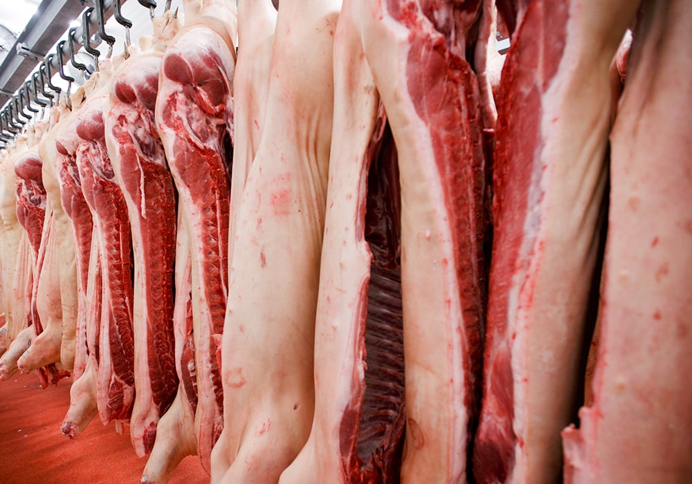 Производство свинины выросло в Белгородской области
