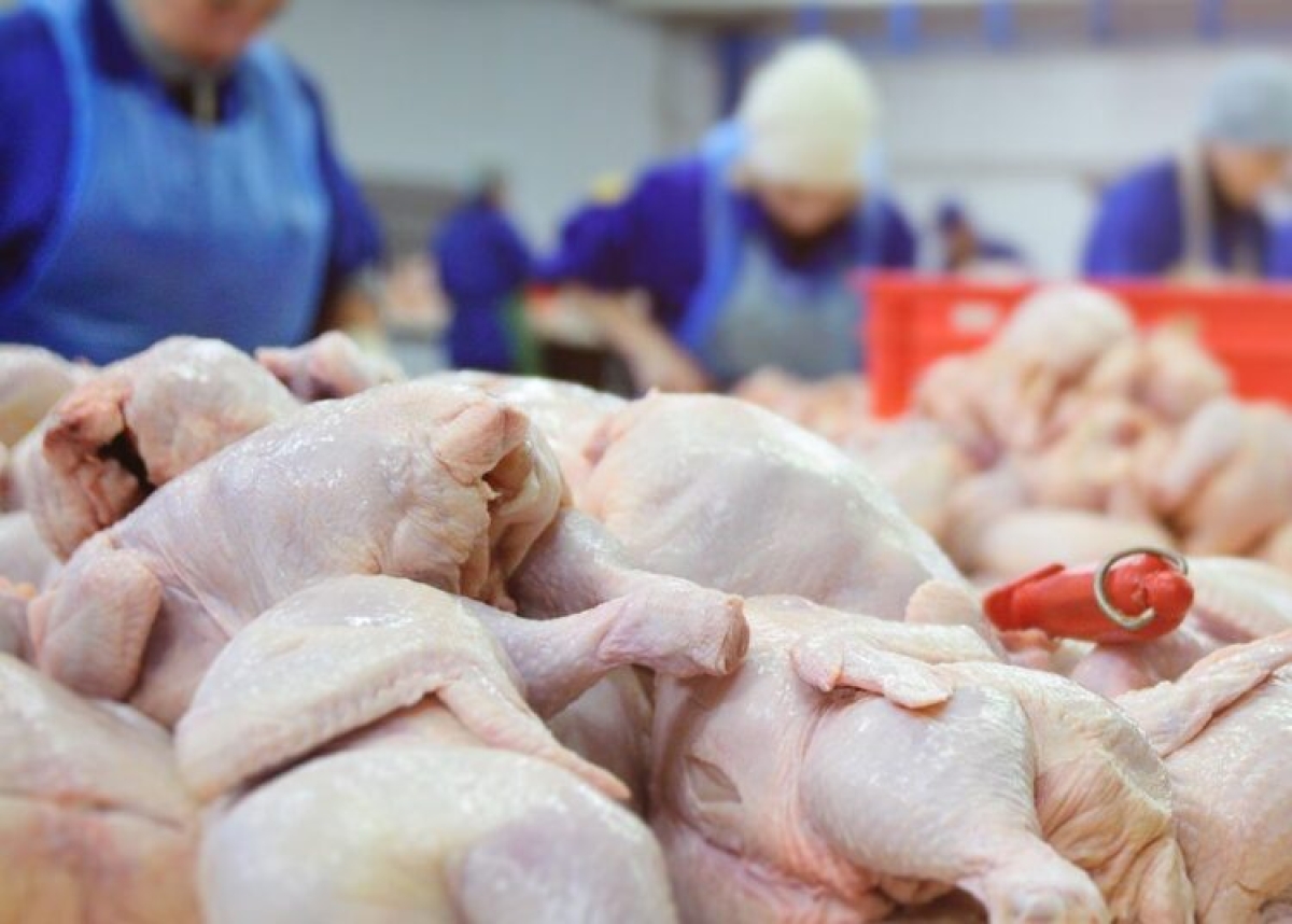 Мониторинг цен на куриное мясо в России и за рубежом, данные на 25 марта 2024 года