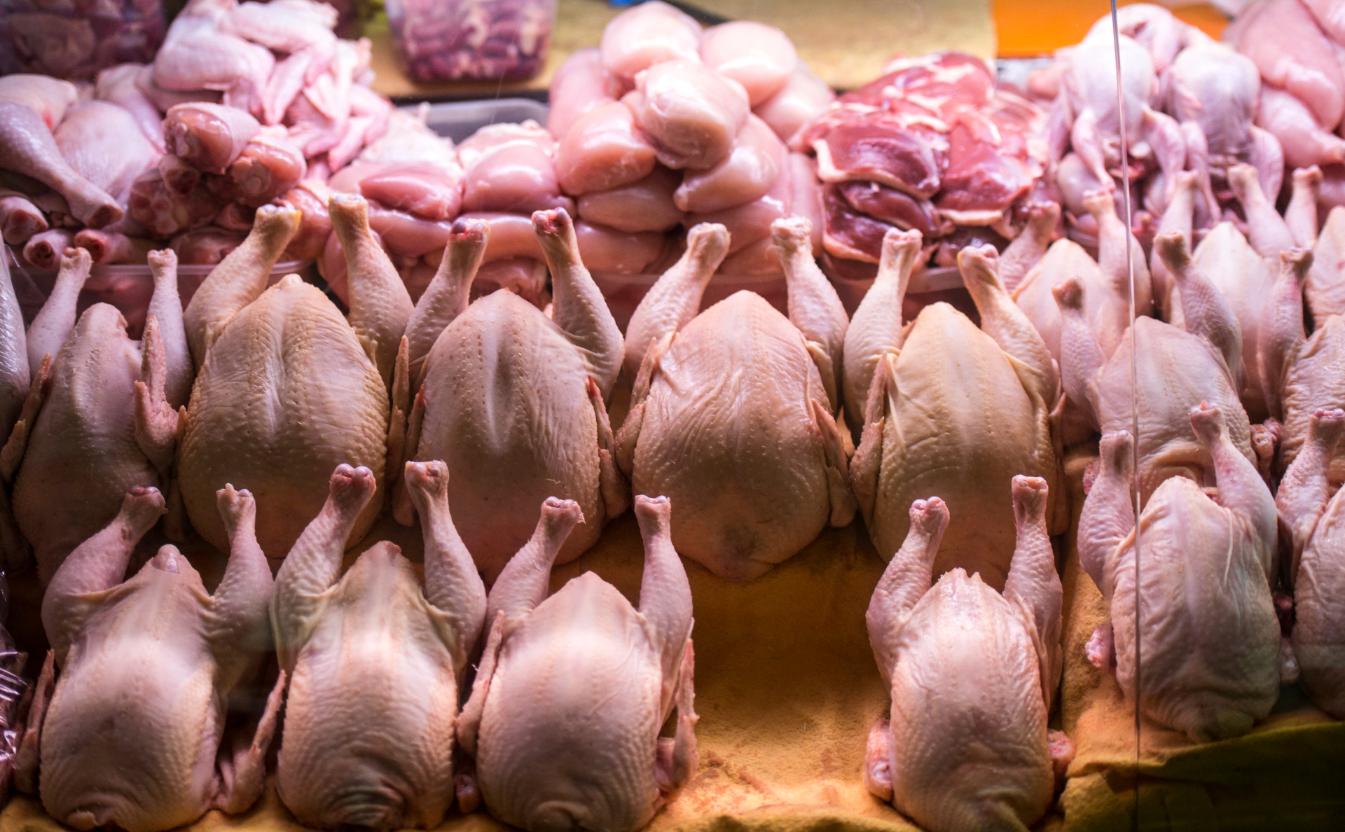Мониторинг цен на куриное мясо в России и за рубежом, данные на 20 мая 2024 года