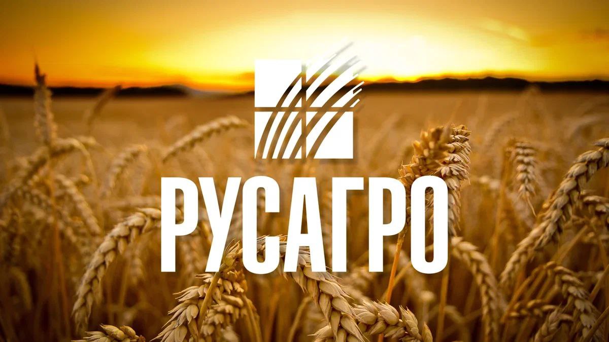 Чистая прибыль «Русагро» по МСФО в I квартале снизилась на 68%