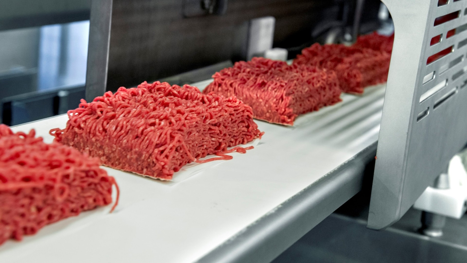 Китайский инвестор вложит в переработку мяса в Калмыкии дополнительно 1 млрд рублей