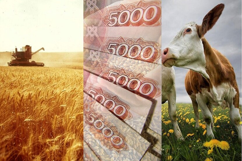 Около 2 млрд рублей господдержки направлено вологодским предприятиям агропромышленного комплекса