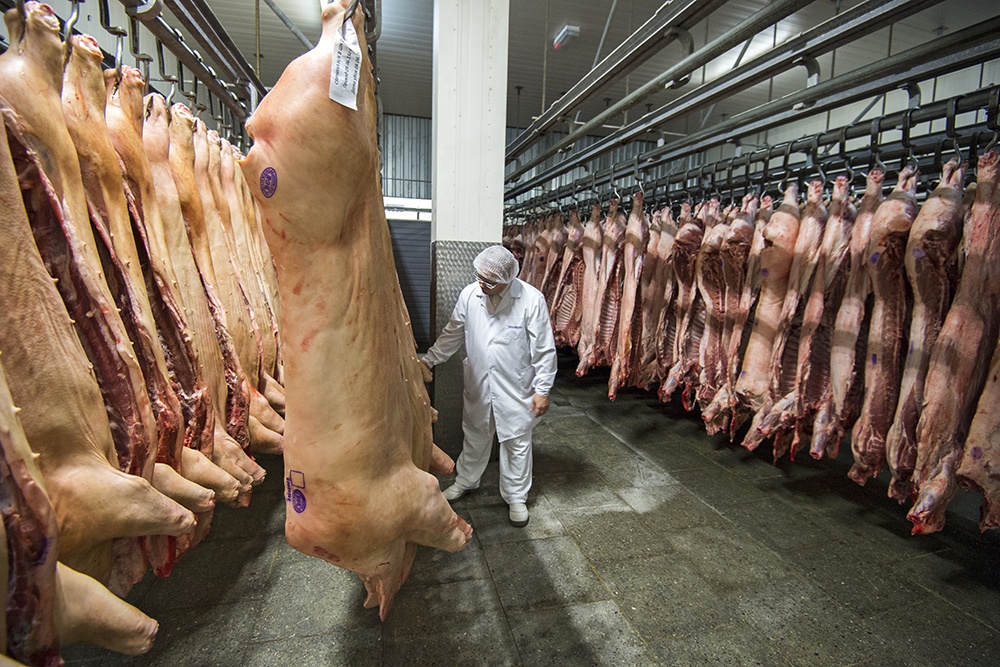«Черкизово» может пополнить список поставщиков свинины в Китай