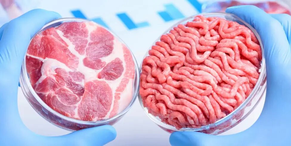 Более половины поляков поддерживают производство мяса, выращенного на клеточных культурах