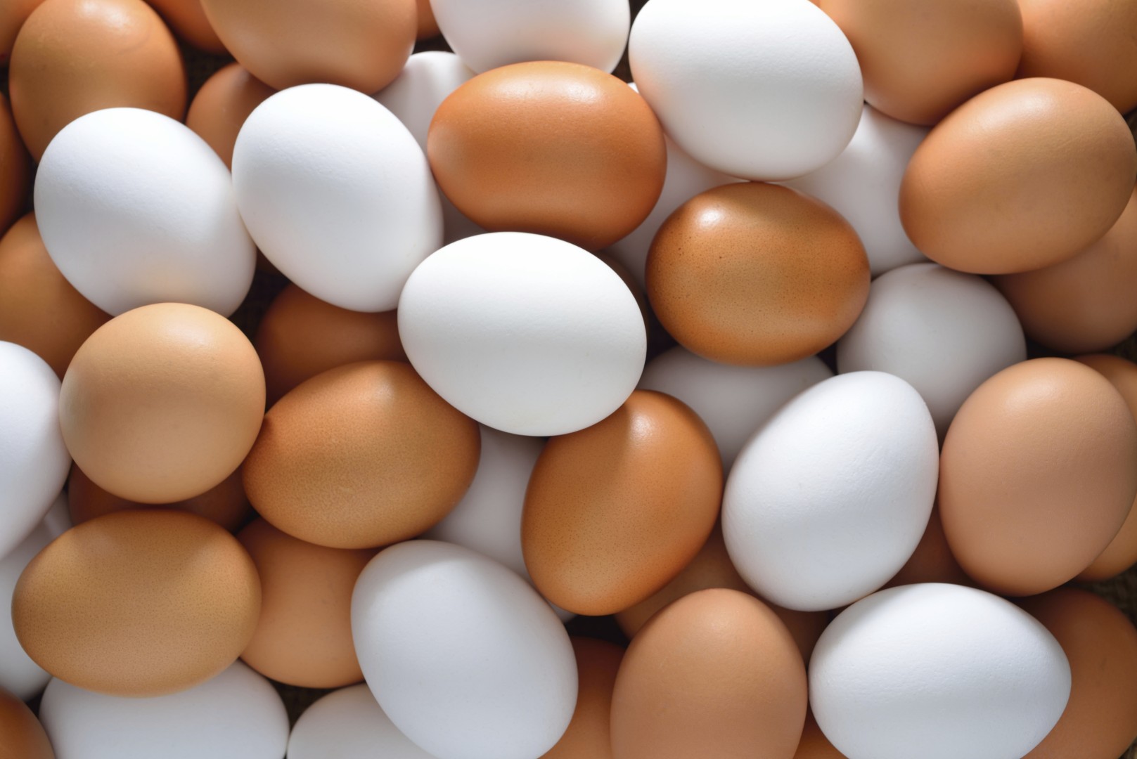 Росстат сообщил о снижении производства яиц за 5 месяцев на 2,6%