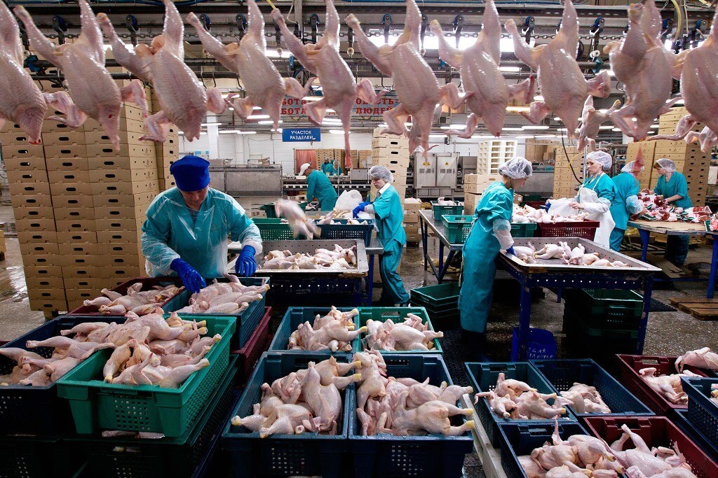 Экспорт мяса птицы из России в январе-июне 2024 г.