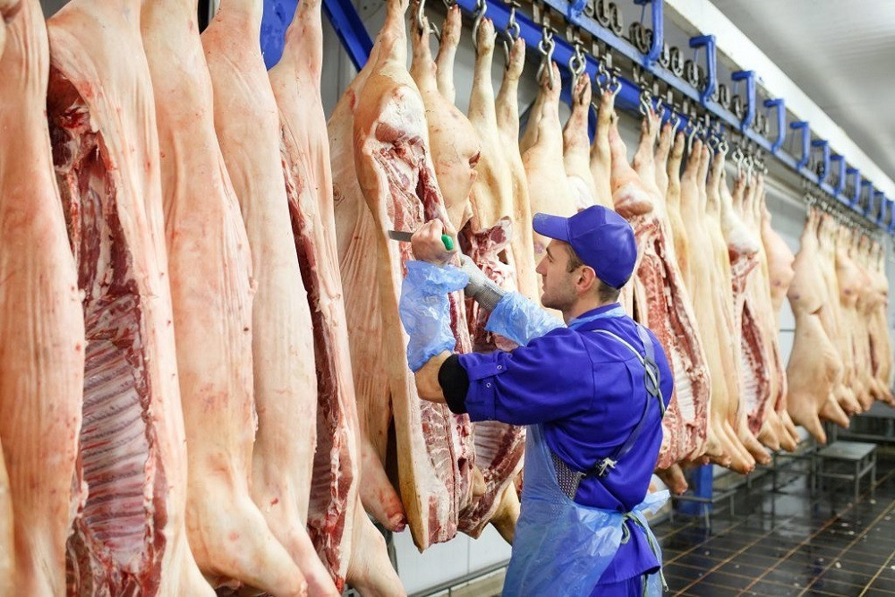 Экспорт свиноводческой продукции из России в январе-сентябре 2024 года