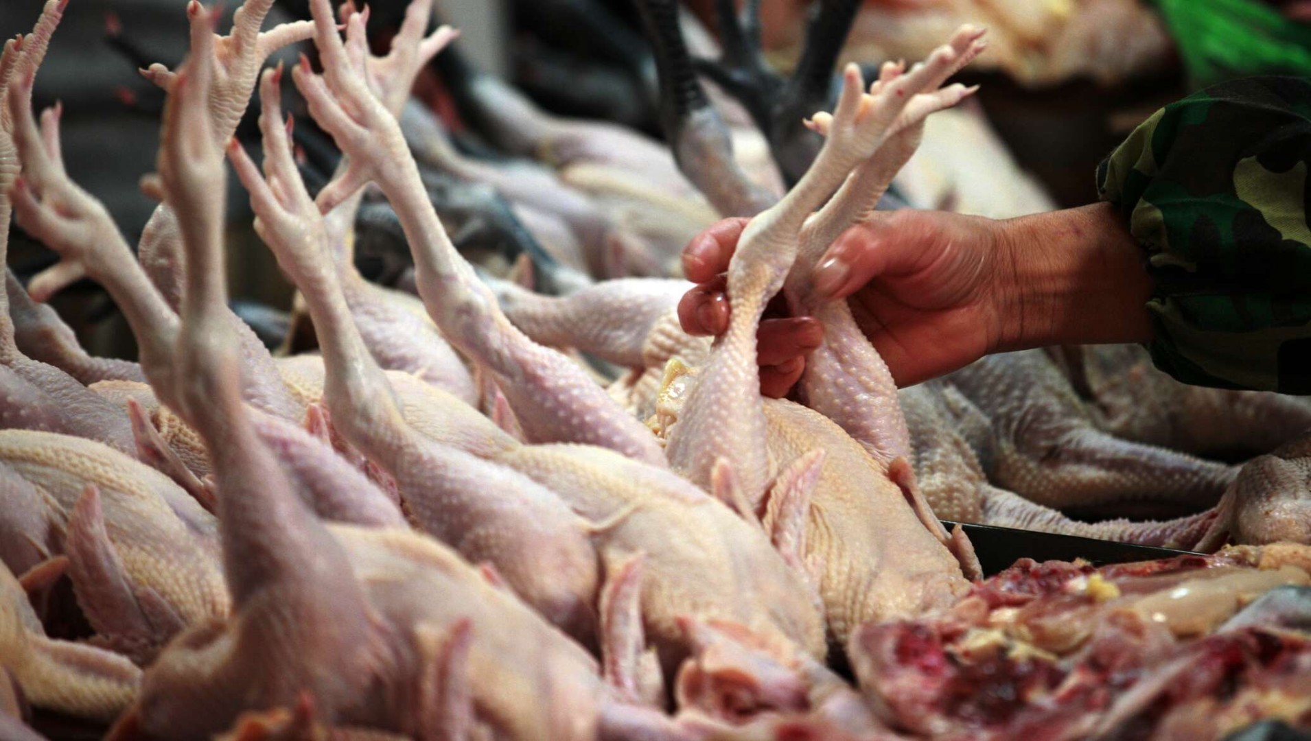 Мониторинг цен на мясо птицы в Китае на 14-й неделе 2025 года