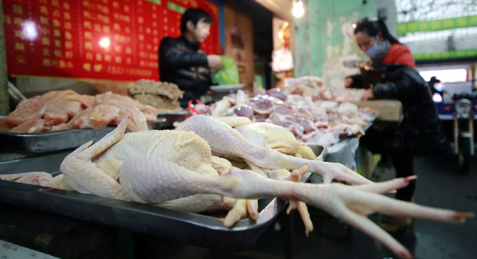Мониторинг цен на мясо птицы в Китае на 20-й неделе 2025 года