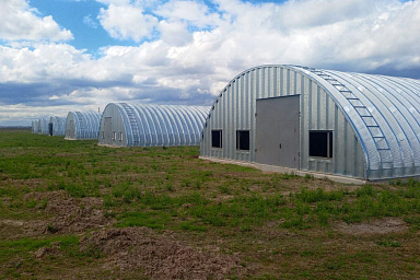 К концу года в Подмосковье завершится строительство птицеводческого комплекса для производства утиной печени