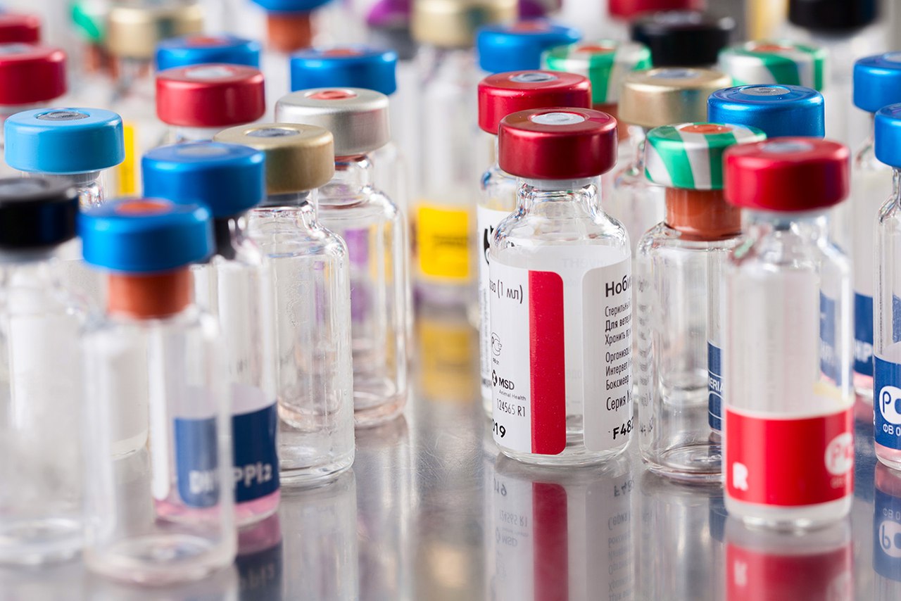 Министерство сельского и лесного хозяйства Лаоса заинтересовано в вакцинах подведомственного Россельхознадзору ФГБУ «ВНИИЗЖ»