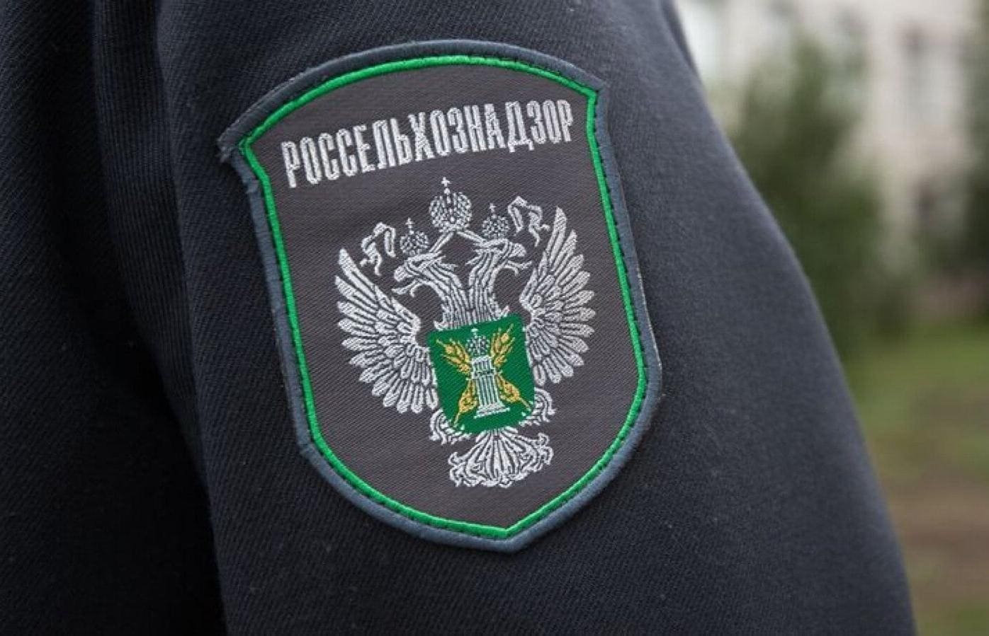 Россельхознадзор расширил список российских поставщиков мяса и субпродуктов птицы в Сингапур