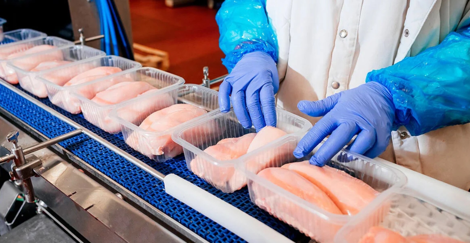 Мониторинг цен на мясо индейки в России и за рубежом, данные на 16 июня 2025 года