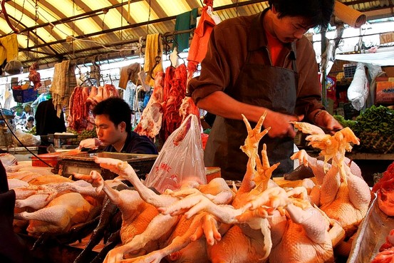 Мониторинг цен на мясо птицы в Китае на 24-й неделе 2025 года