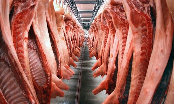 Экспорт свиноводческой продукции из России в апреле 2025 года