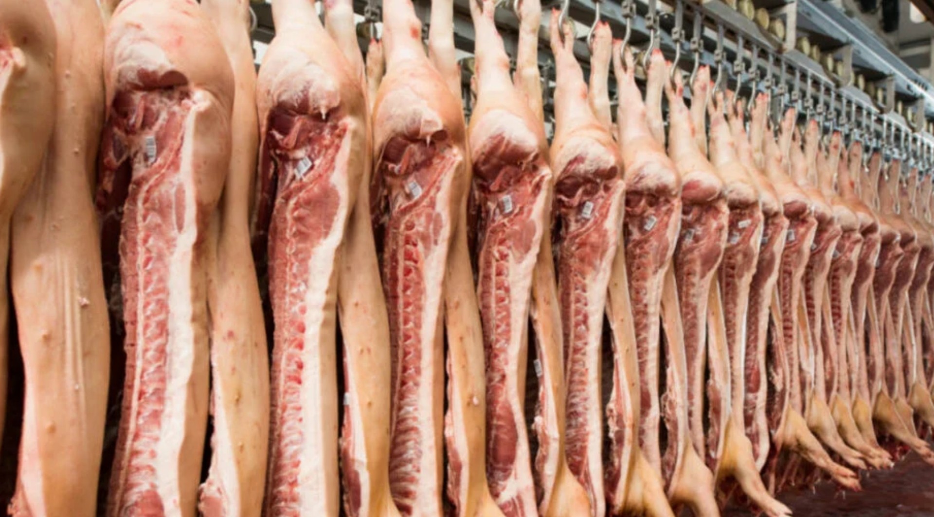 Россия за 5 месяцев экспортировала в КНДР рекордные 1,2 тыс. т свинины