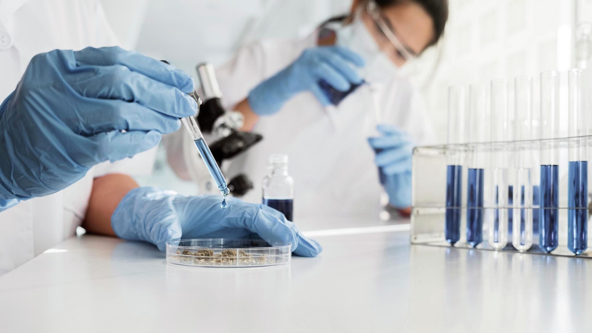 Российские ученые разработали точный метод диагностики бруцеллеза