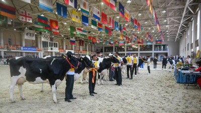 Состоялась 28-я областная выставка племенных животных «Звезды Подмосковья-2025»