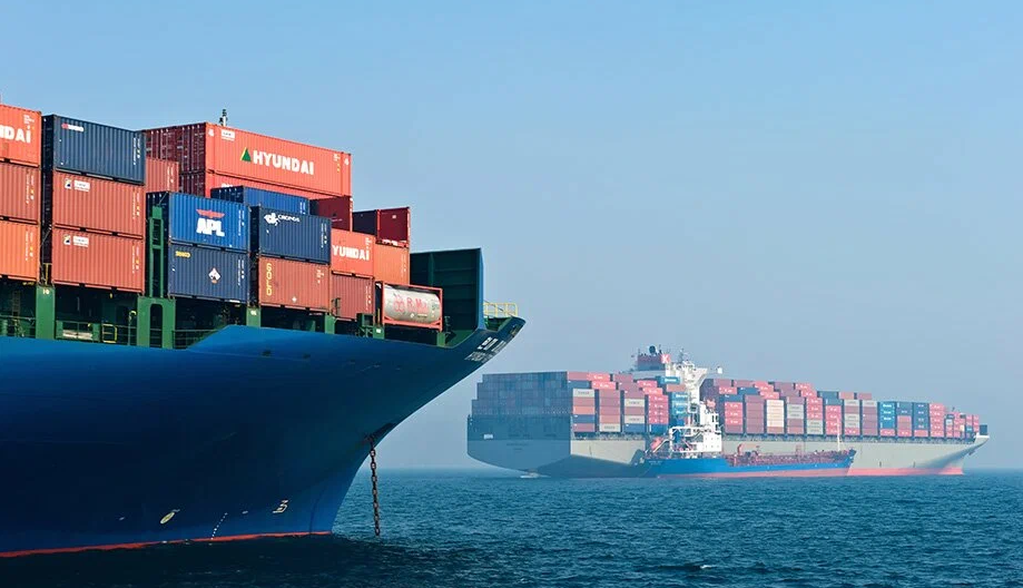 Под контролем Россельхознадзора из Курской области в Гонконг отправлено 700 тонн мясной продукции