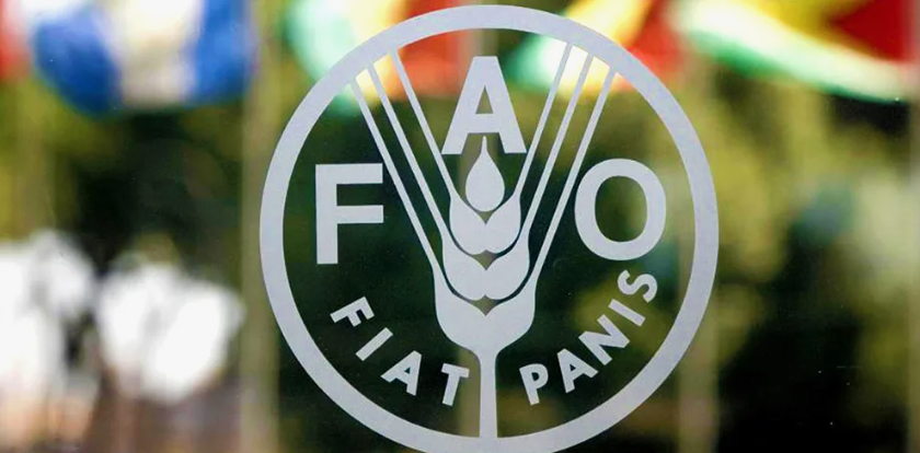 Июньский рост мировых цен на продовольствие составил 0,5% из-за подорожания мяса и молочных продуктов