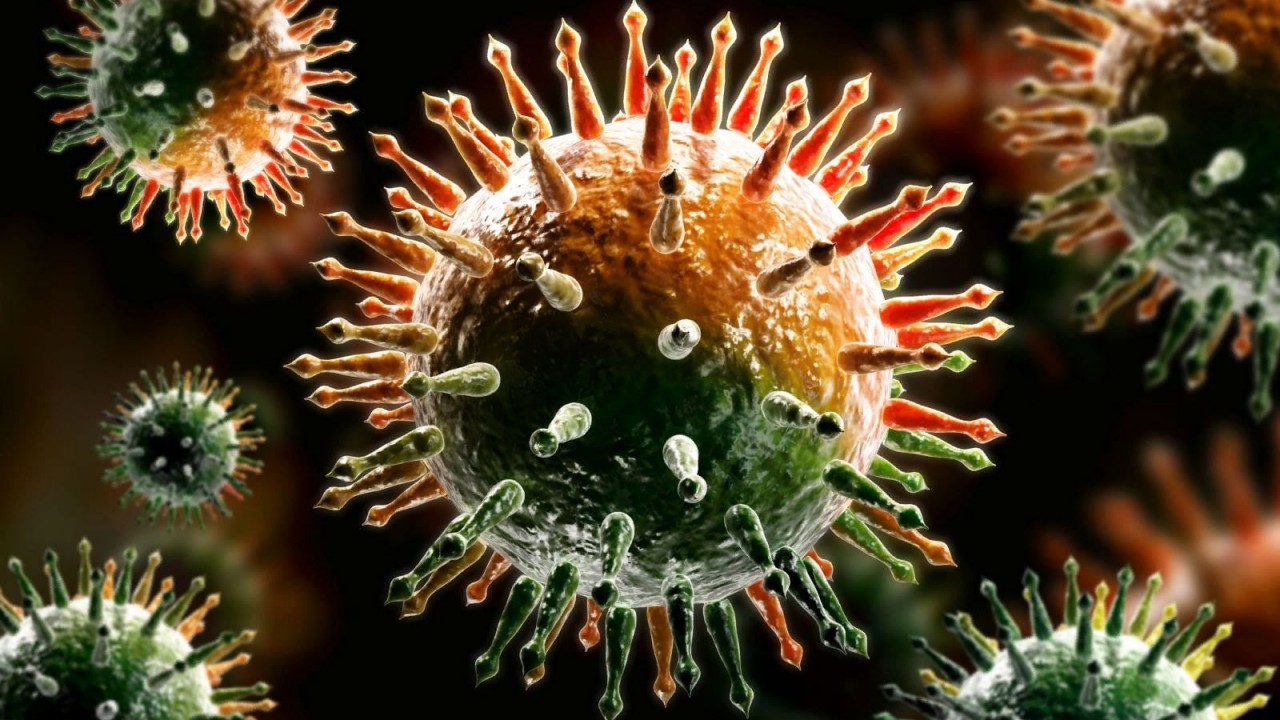 Ученые предупредили о риске передачи птичьего гриппа H5N1 через мух