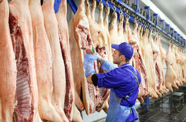Россия стала пятой среди основных поставщиков свинины в Китай