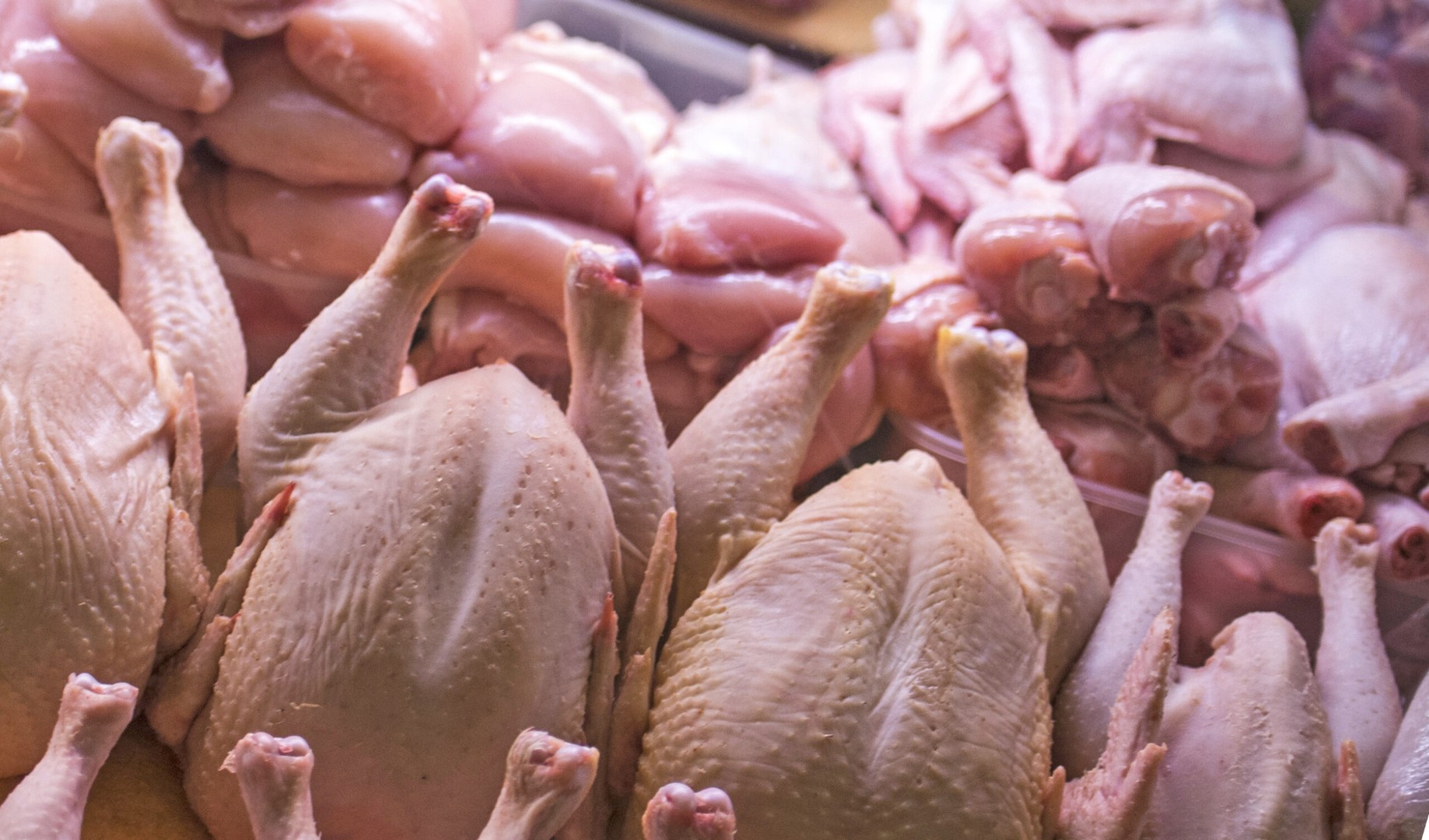 Россия почти на треть увеличила экспорт мяса птицы