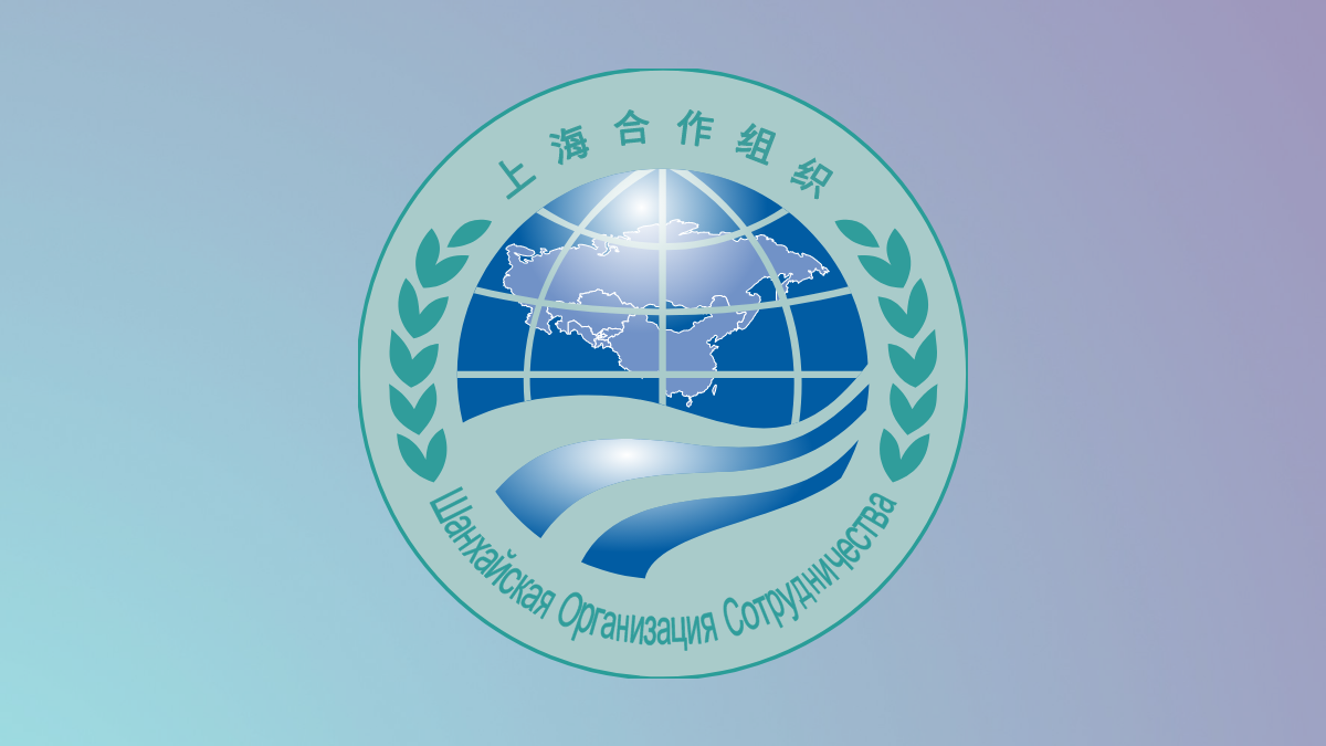 Делегация Ассоциации животноводства Китая посетила Кыргызстан и Казахстан для обмена опытом