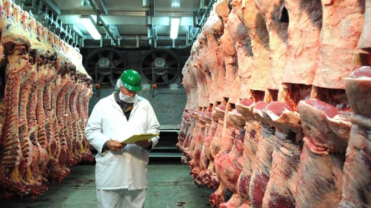 «Сибагро» занимает в Монголии 60% рынка свинины