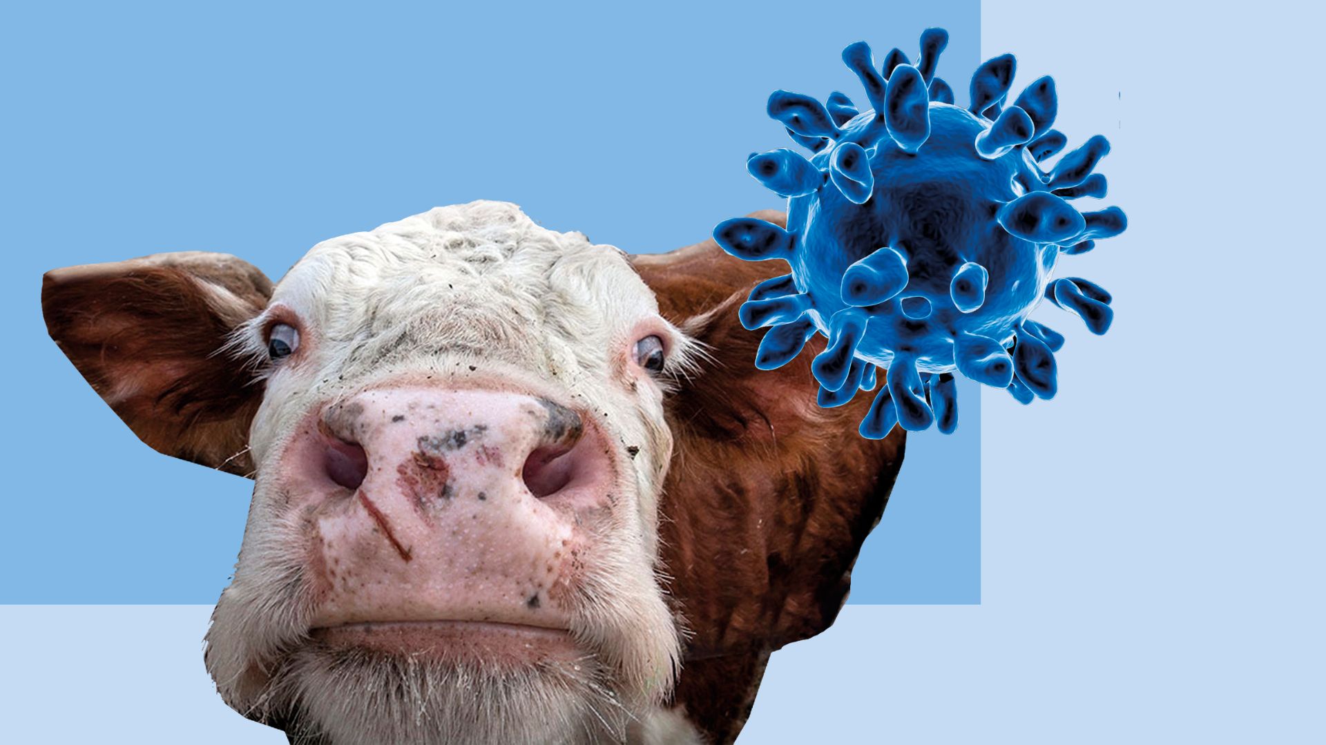 Банк антигенов для борьбы с ящуром создан в Америке