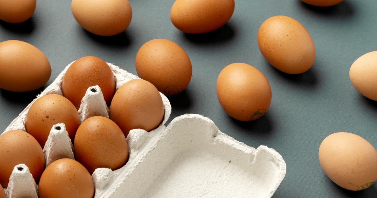 Россельхознадзор расширил список российских поставщиков яичной продукции в Индию