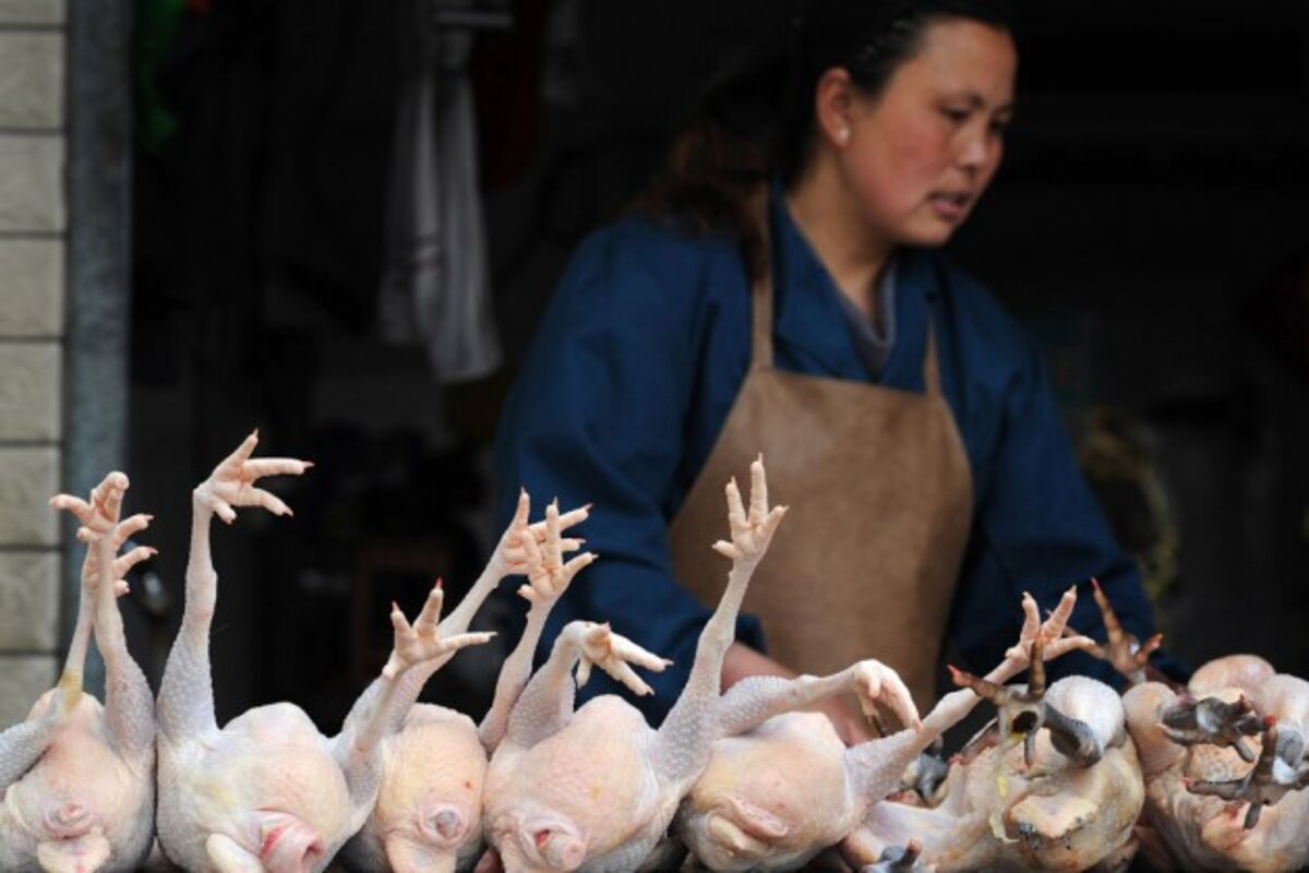 Мониторинг цен на мясо птицы в Китае на 36-й неделе 2025 года