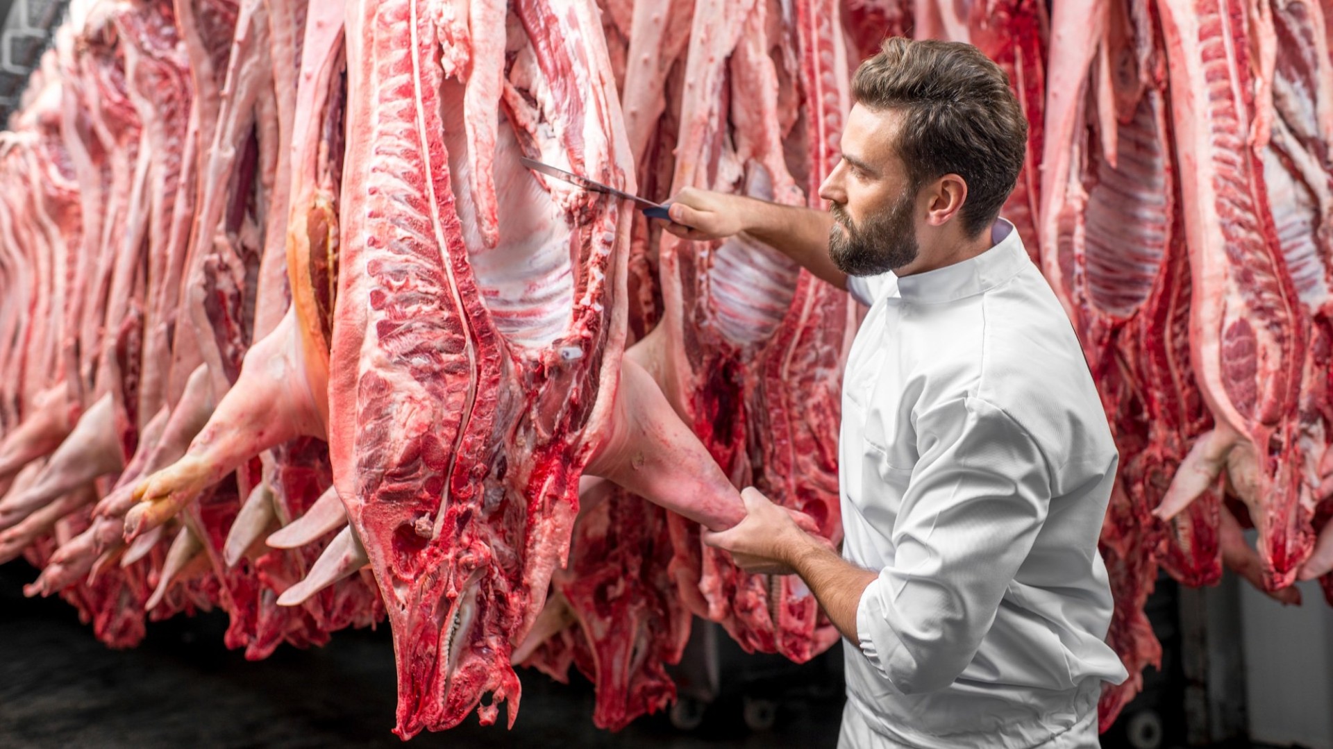 Россия в I полугодии увеличила поставки свинины и субпродуктов в КНР в три раза