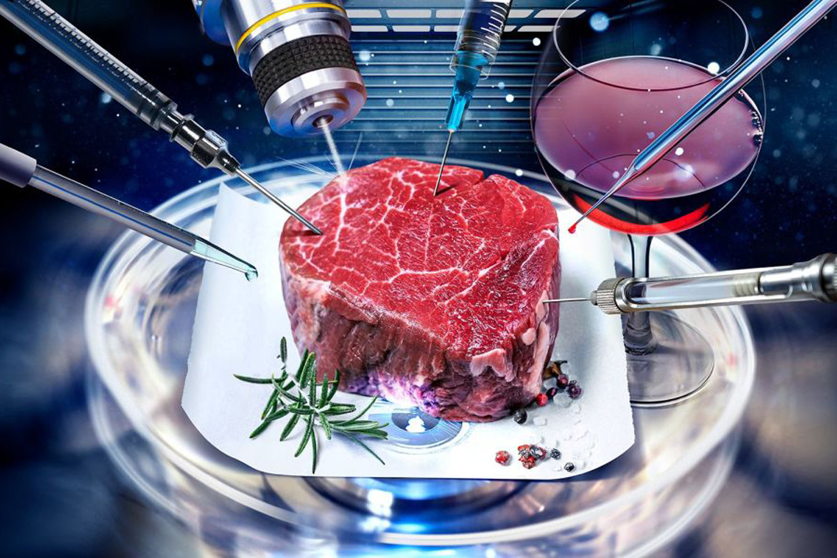 Ученые получили «бессмертные» клетки коров, что может сделать искусственное мясо доступнее