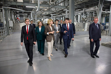 В Ленобласти на торги выставили Русско-Высоцкую птицефабрику за 3,9 млрд руб.