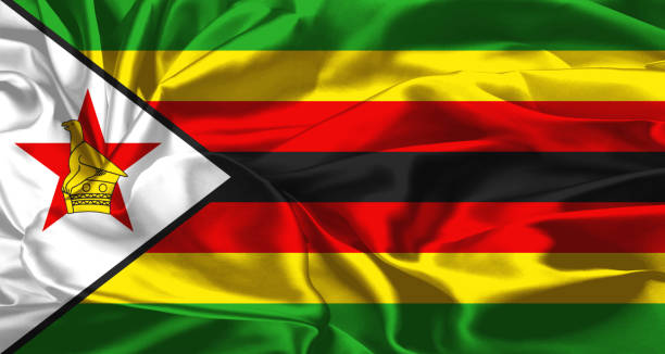 Поголовье крупного рогатого скота в Зимбабве выросло до 5,7 миллиона