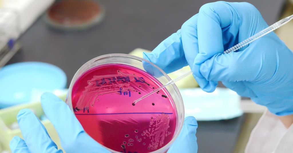 В Омской области птицефабрику оштрафовали за продукцию с сальмонеллой