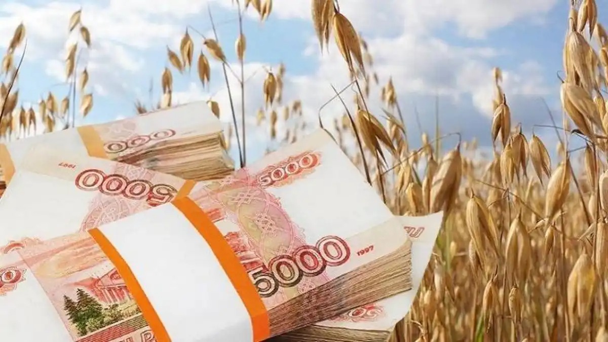 Проект бюджета РФ предусматривает субсидии на агрострахование в размере 16,5 млрд руб. на три года