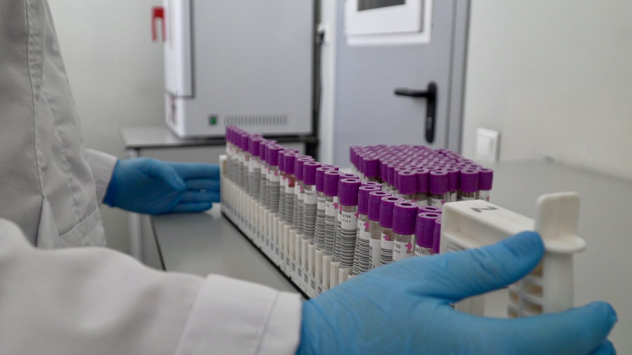 Подмосковье покажет отбор лучших генов сельхозживотных