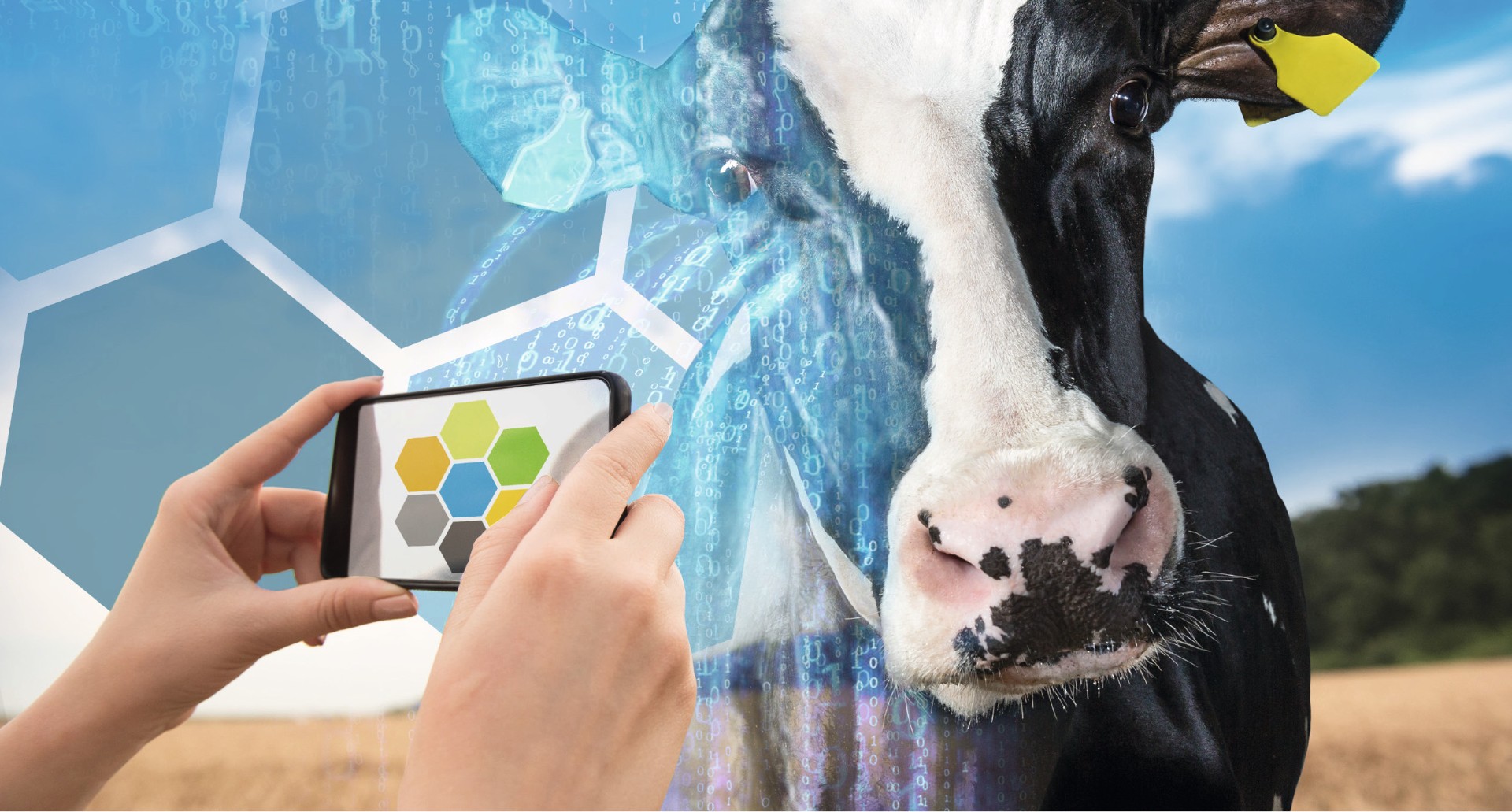 Подмосковные разработки умного животноводства представят на выставке «Золотая осень–2025»