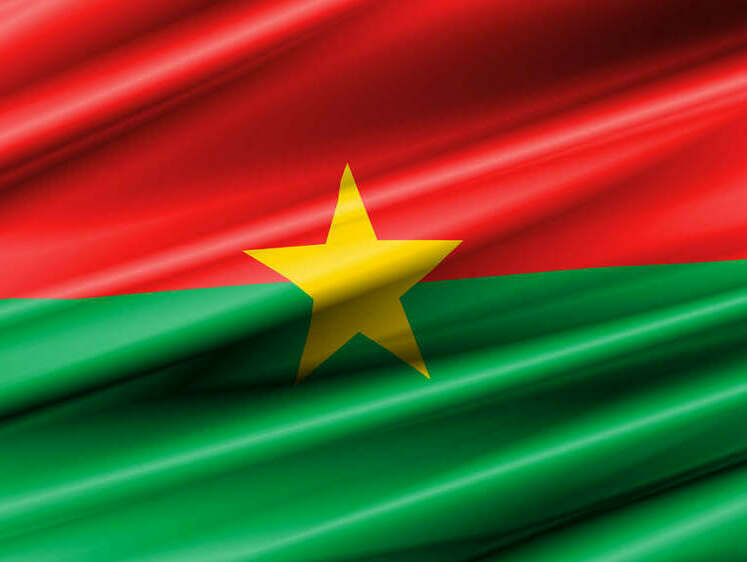 Буркина-Фасо приостанавливает импорт цыплят-бройлеров, чтобы укрепить местное производство