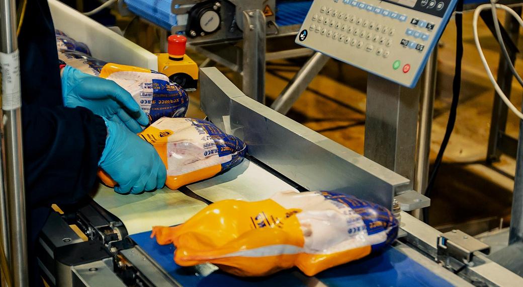 «Дамате» начала экспорт утки в Того и ЦАР