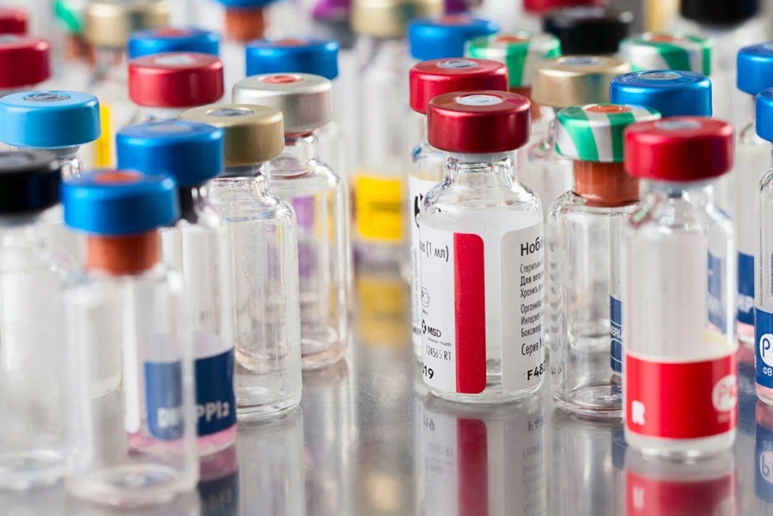 Внешняя торговля ветеринарными вакцинами в России со странами ЕАЭС в первом полугодии 2025 года