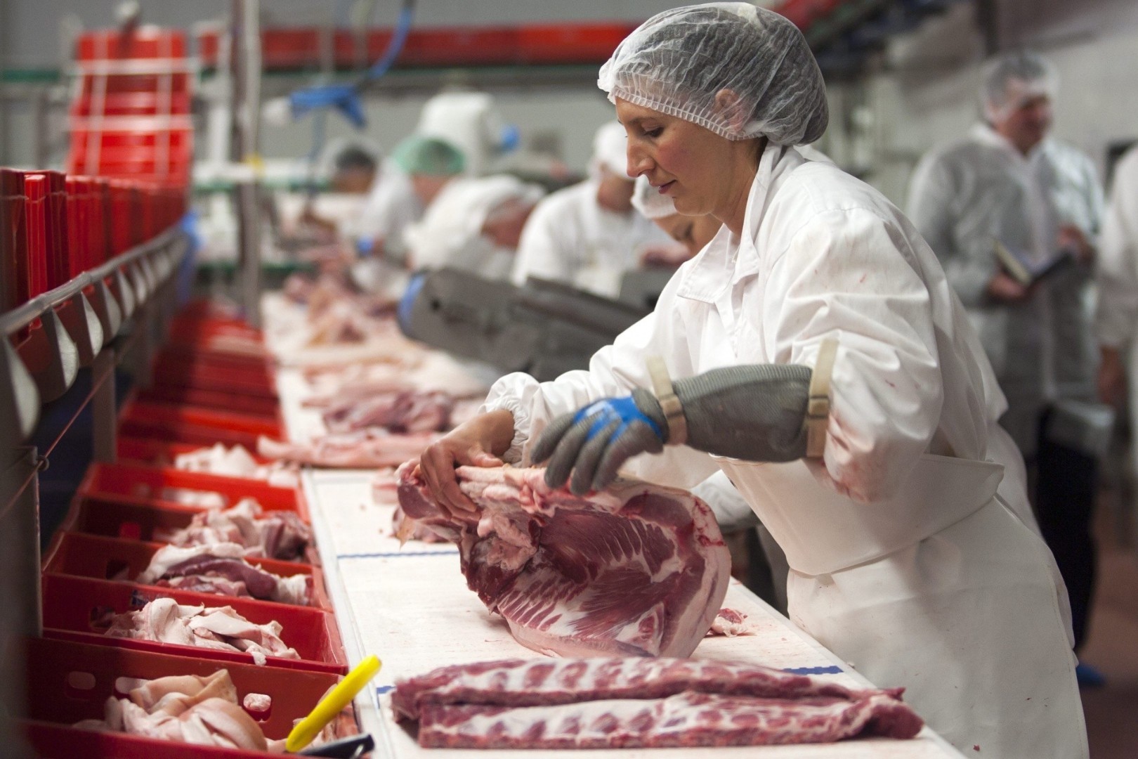 Кузбасс в 2025г ожидает снижения производства мяса на 4-5% на фоне торможения инвестпроектов