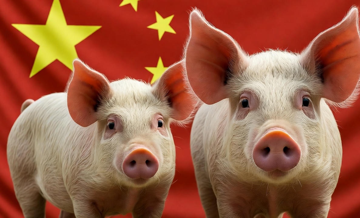 Мониторинг цен на свинину в Китае на 43-й неделе 2025 года